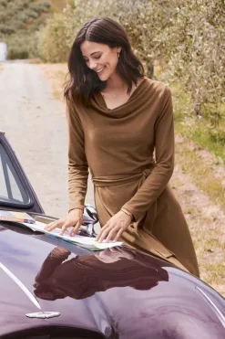 Soft Surroundings Dresses|Paula Dress CocoaBrown