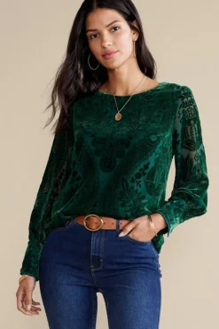 Soft Surroundings Tops|Vanetta Velvet Top