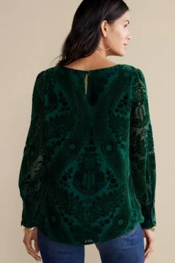 Soft Surroundings Tops|Vanetta Velvet Top